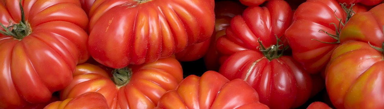 Екзотичні сорти помідорів