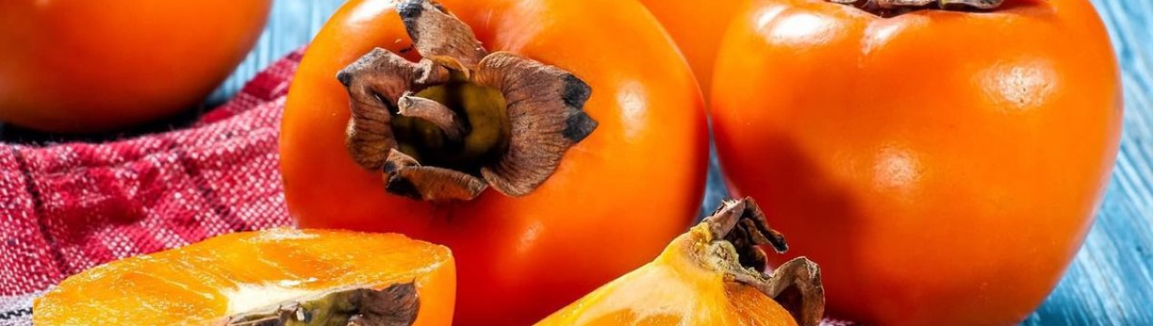 Вирощування хурми з кісточки в домашніх умовах