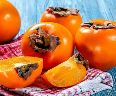 Вирощування хурми з кісточки в домашніх умовах