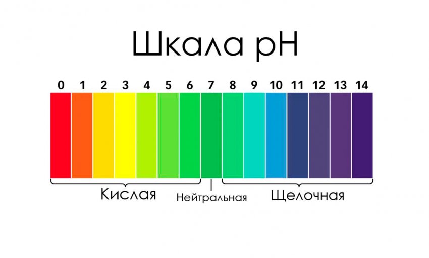 Растения-индикаторы кислотности почвы