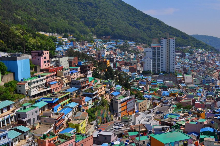 Проект сільськогосподарського кооперативу з обміну міськими та сільськими районами Проект сільськогосподарського кооперативу з обміну міськими та сільськими районами