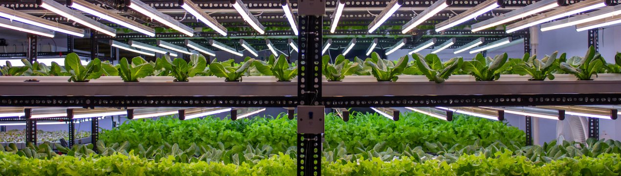 Переваги внутрішнього сільськогосподарського господарства