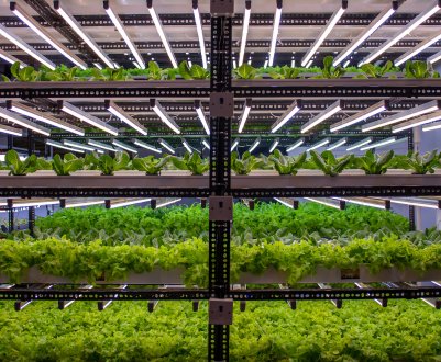 Переваги внутрішнього сільськогосподарського господарства