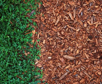 10 порад, як уникнути помилок під час мульчування