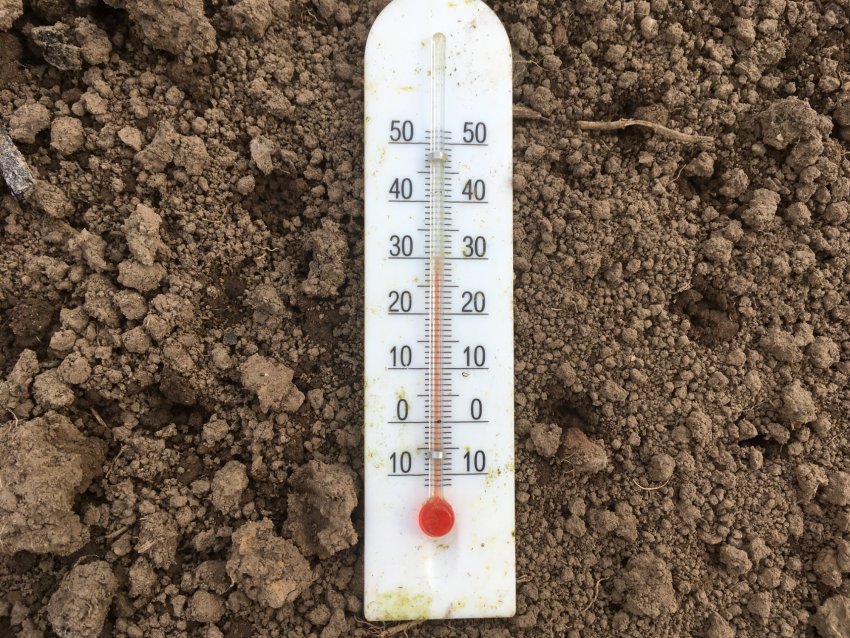 Прогрітий ґрунт Прогрітий ґрунт