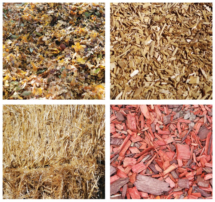 Різновиди мульчі Різновиди мульчі