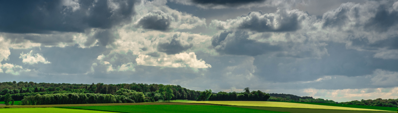 Бюджет 2020: фермери реагують на витрати первинних галузей