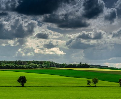 Бюджет 2020: фермери реагують на витрати первинних галузей