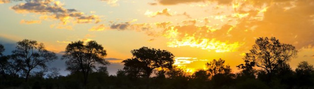 Продовольча криза Західної Африки через коронавірус