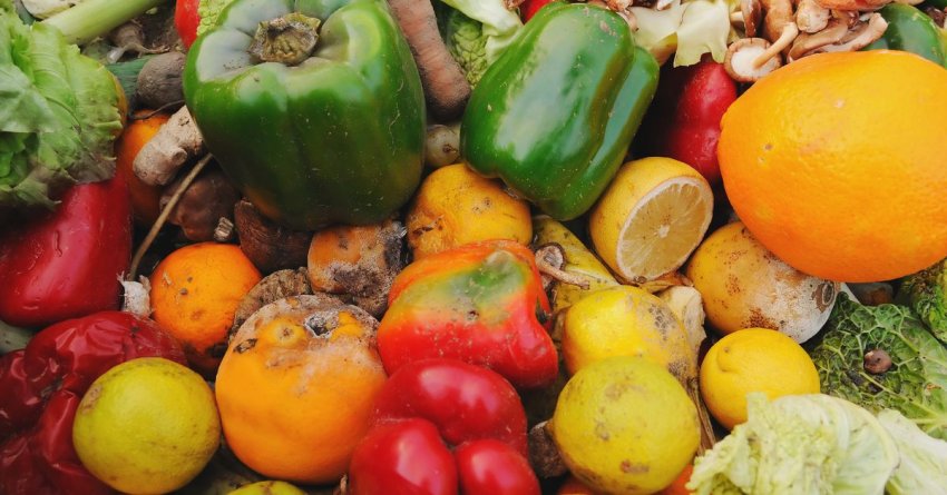 Овочі гниють на землі