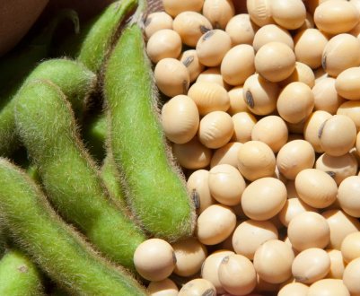 Бразильський експорт агробізнесу в Китай переживає бум