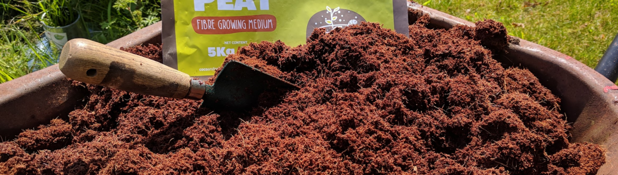 Що таке кокосовий торф і як його використовувати