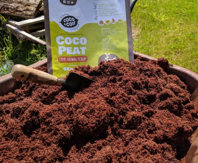 Що таке кокосовий торф і як його використовувати
