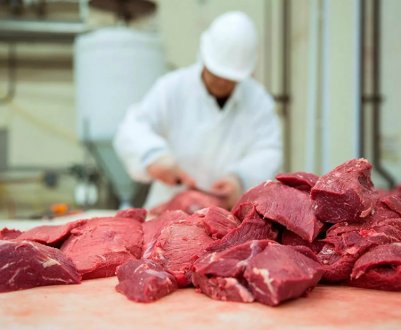 Коронавірус виявив вразливість м'ясного сектору ЄС