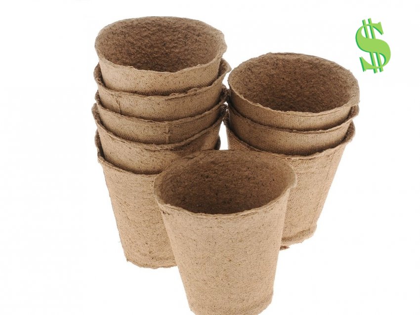 Висока вартість біорозкладних контейнерів Висока вартість біорозкладних контейнерів