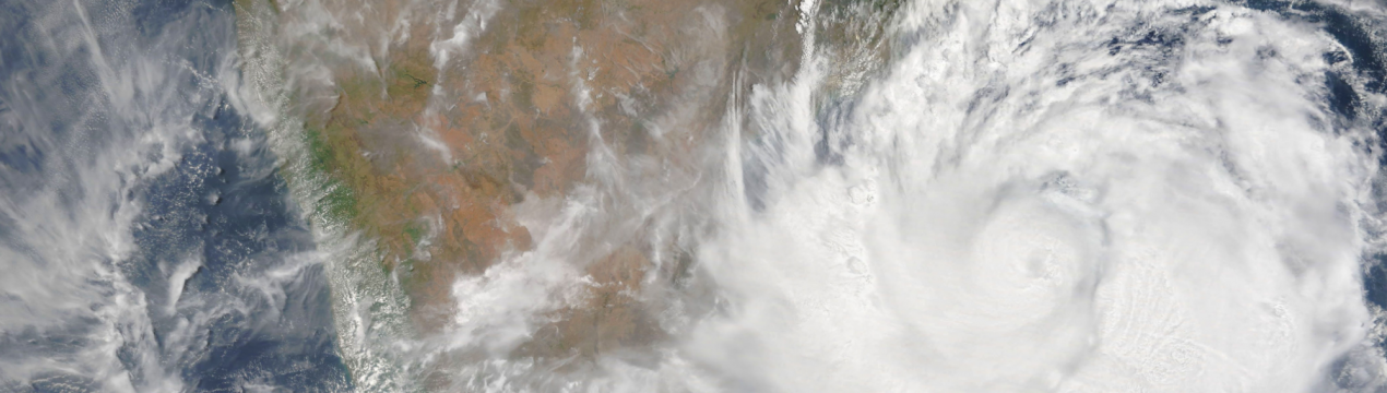 Суперциклон Amphan сильно ударить по торговлі манго в Бенгалії