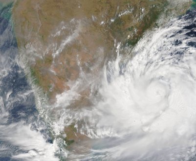 Суперциклон Amphan сильно ударить по торговлі манго в Бенгалії