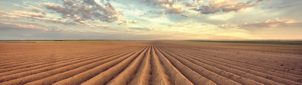 Зниження вартості сільськогосподарських земель в першому кварталі 2020 року