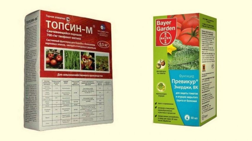 Препарат Топсин М Купить