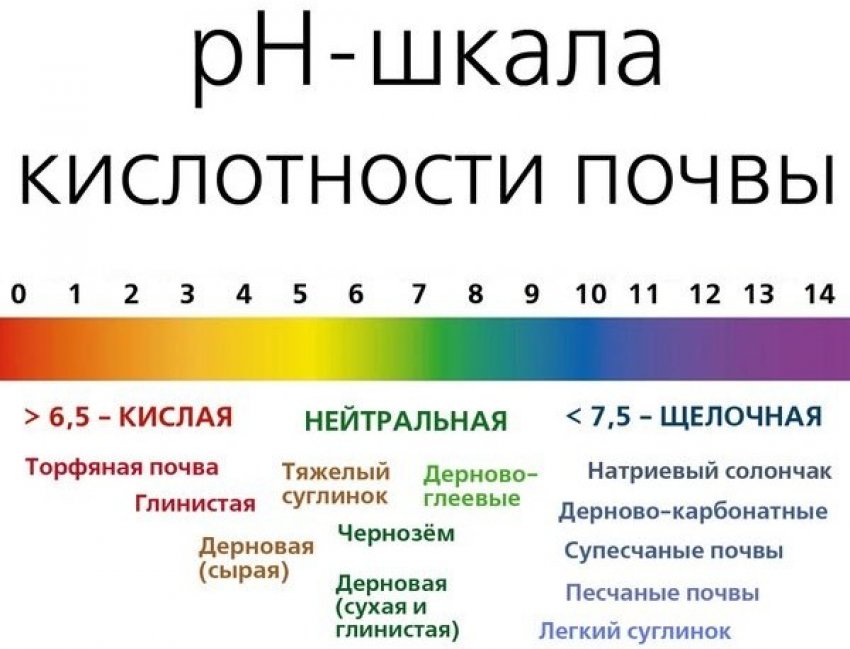 Шкала кислотності ґрунту
