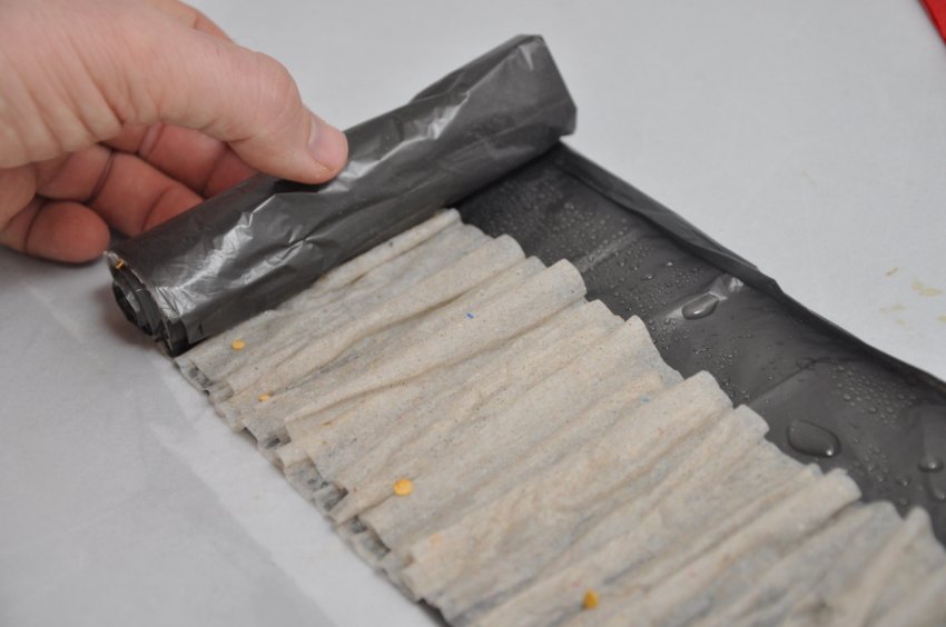 Використання найдешевшої паперу для пророщування насіння