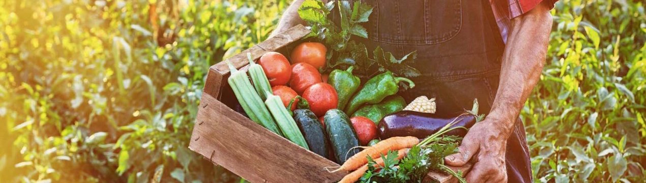 Обов'язки роботодавців щодо зайнятості сезонних працівників