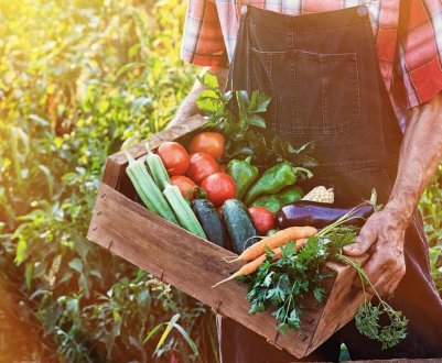 Обов'язки роботодавців щодо зайнятості сезонних працівників