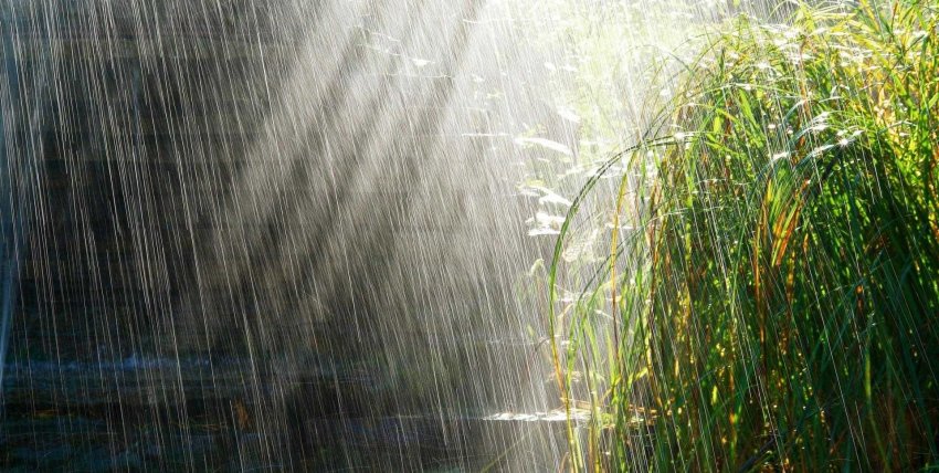 США: ставок створює потенціал для пошкодження врожаю США: ставок створює потенціал для пошкодження врожаю