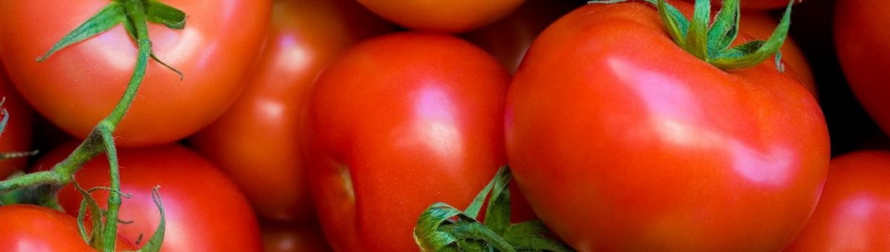 6 способів прискорити дозрівання помідорів