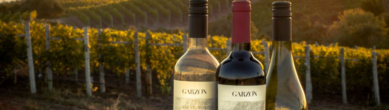 Уругвай на карті виноградарства світу з його винами Танат