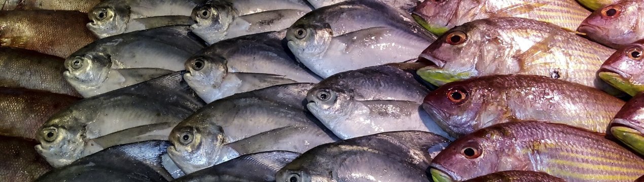 Експорт індійської риби може скоротитися на 5-10%