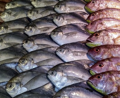 Експорт індійської риби може скоротитися на 5-10%