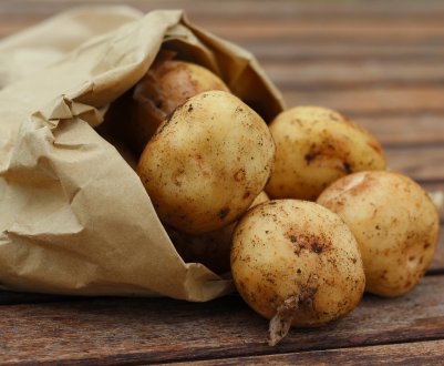 Кампанія проти харчових відходів