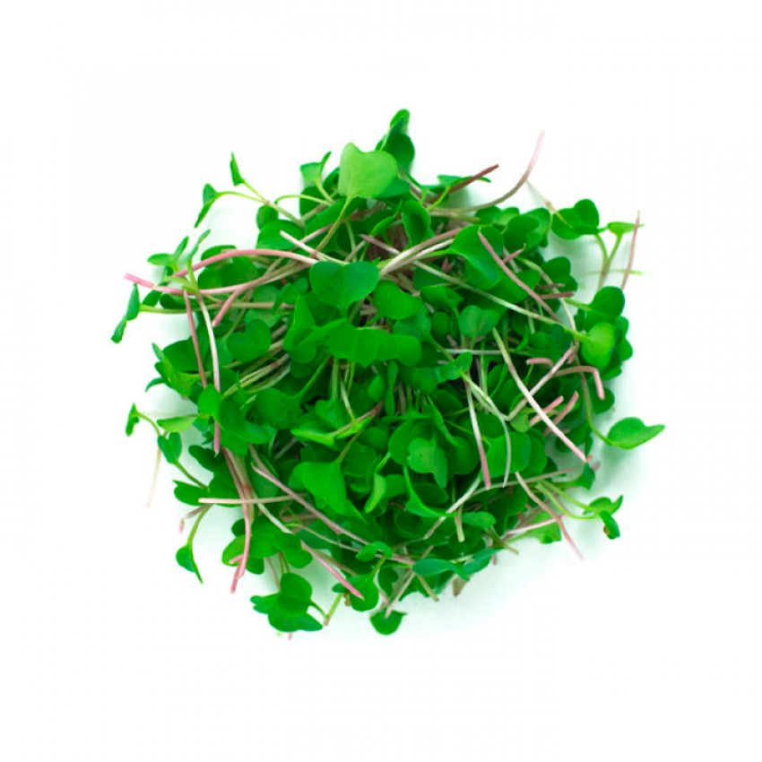 Мікрозелень соняшника