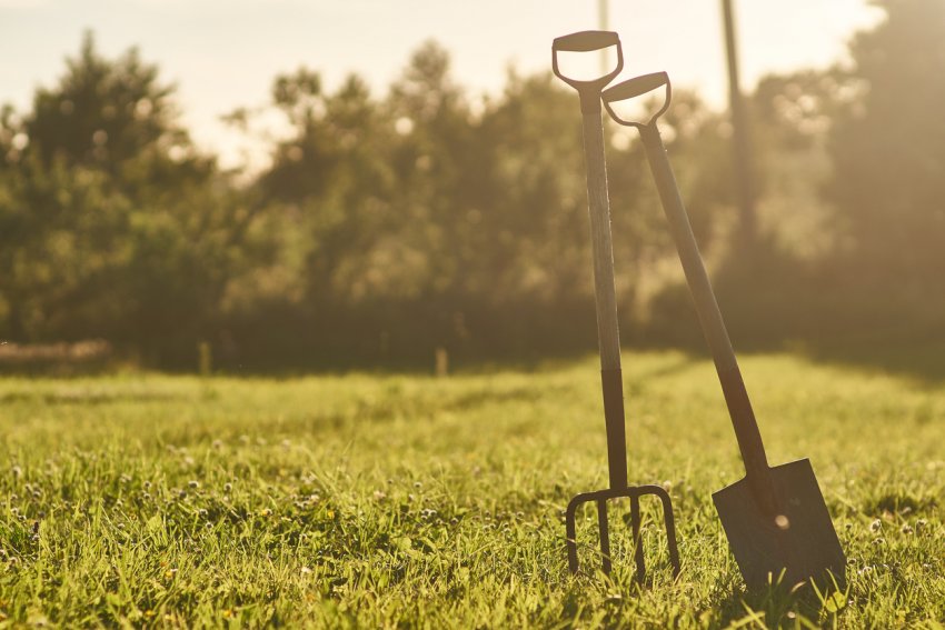 Вилиці та лопата Вилиці та лопата