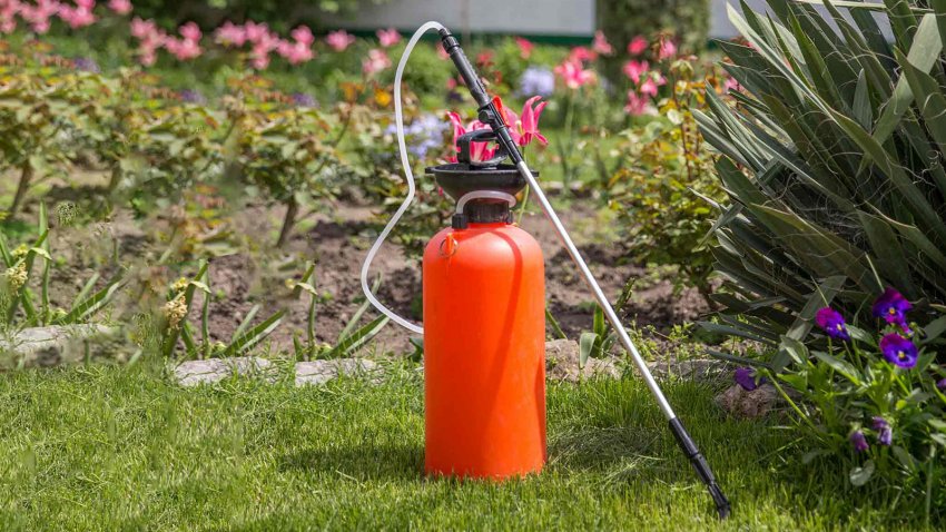 Гербіциди проти бур'янів Гербіциди проти бур'янів