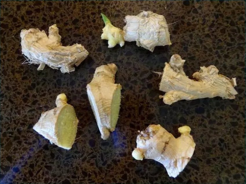 Корінь розрізуємо на декілька частин Корінь розрізуємо на декілька частин