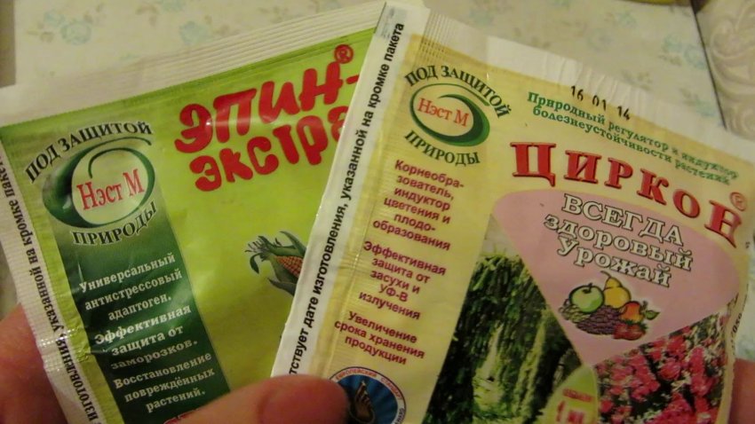 Циркон та Епін Циркон та Епін