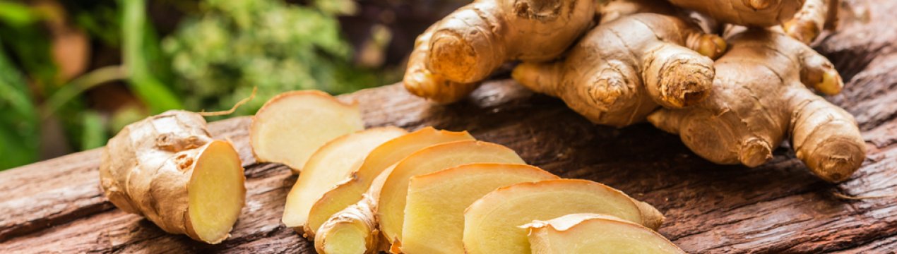 Як виростити імбир на підвіконні