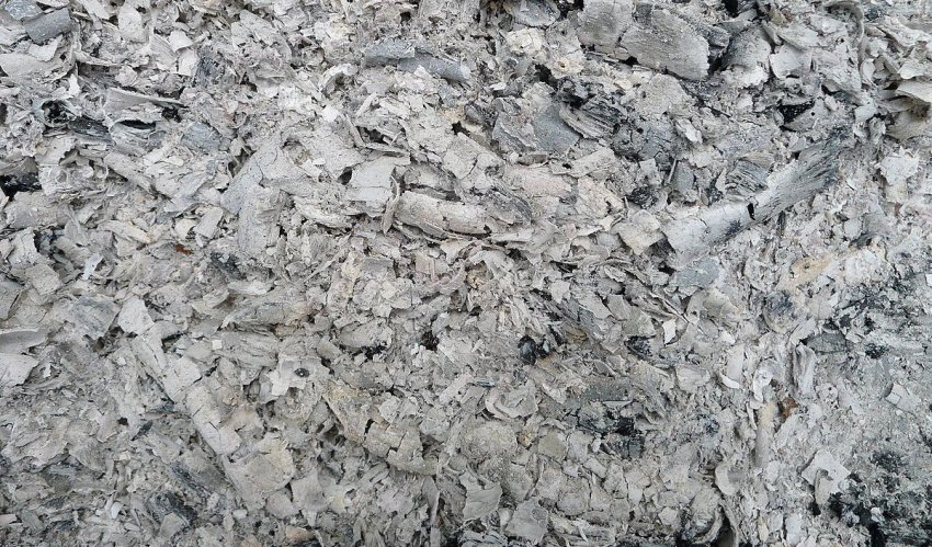 Деревний попіл Деревний попіл