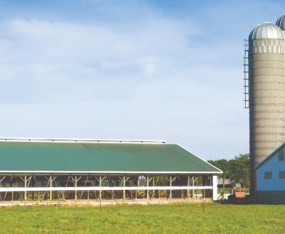 Малі сільськогосподарські підприємства також можуть отримати підтримку