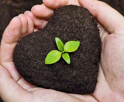 8 видів органічних речовин для ґрунту