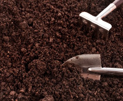 Цікаво про аерацію ґрунту: чому необхідно проводити аерацію ґрунту