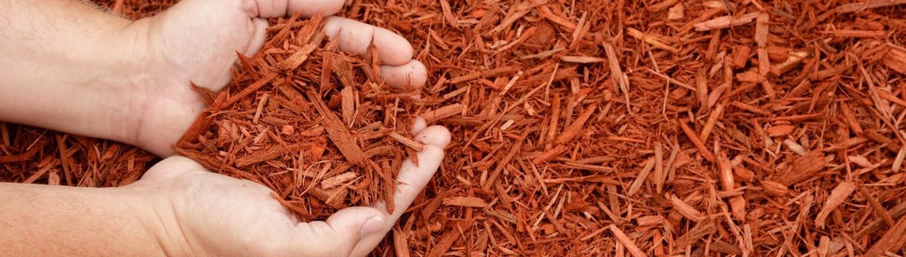 Все «за» і «проти» використання мульчі в саду