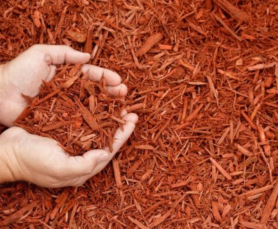 Все «за» і «проти» використання мульчі в саду