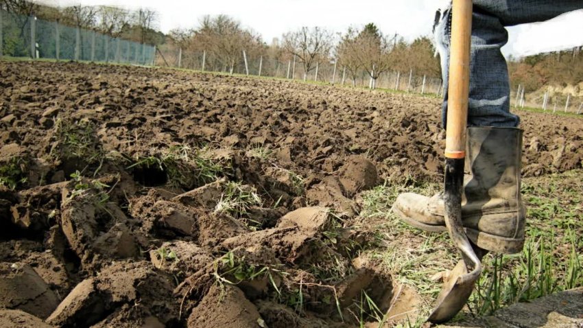 Перекопування ґрунту