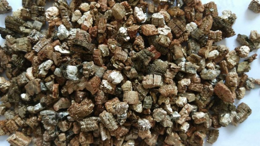 Вермікуліт