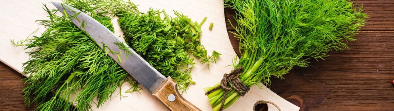 5 ароматних і смачних страв із кропом