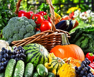 Нові сегменти сільського господарства отримають державну підтримку