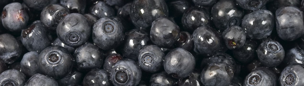 Аргентина: дві компанії з виробництва черники в Конкордії постраждали від пожежі